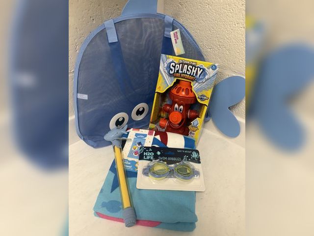 Lot 499-014 - Beach Day tote bag 
Fire hydrant sprinkler 
Baby Shark beach towel
Shark water blaster 
H20 Life Sha...