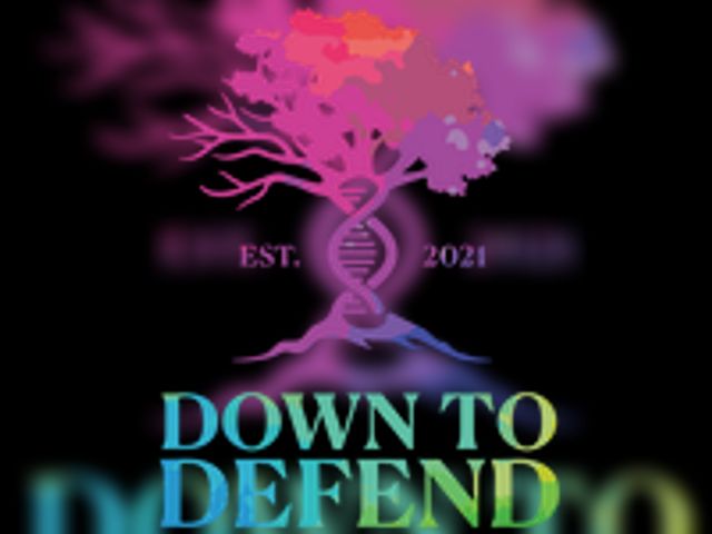 Down to Defend Auction 2026