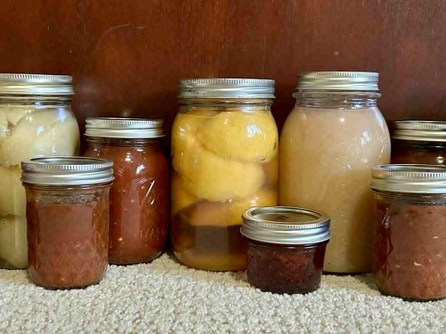 Lot 499-395 - Canned Goods from 'Eastside and Friends'
Includes: Quart: peaches, (2) applesauce, apple pie filling...