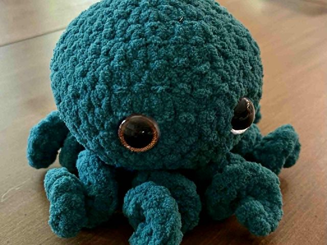 Lot 499-280 - Crocheted Animal- Octopus
Approx 6" x 5"
Thank you Kim Terpstra-Kuiper for this donation!