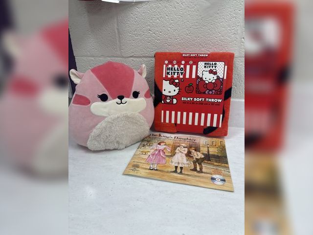 Lot 499-039 - Snuggle up with a squishmallow, hello kitty blanket and a cute book