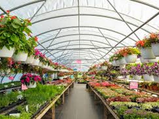 Lot 499-3 - Kay-Dee's Gardens $50 gift certificate
located in Jenison Michigan