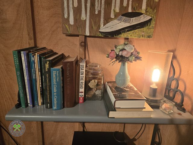 Lot 53-606 - Contents of Shelf - Includes: Books, Unique Light, Shells, and more - Bring own box to load.