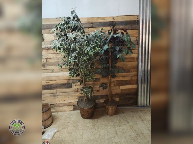 Lot 53-570 - 2 Household Artificial Trees