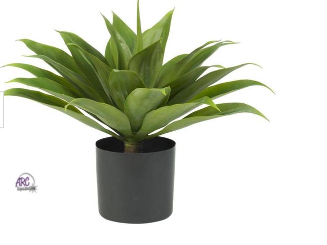 Lot 56-355624 - 25” Ageve plant pot cracked see pics