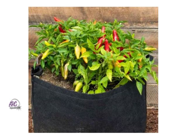 Lot 56-496264 - New - Gardens Alive! - 15 Gal. Capacity Expandable Patio Grow Tub