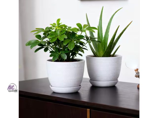 indoor plants stand Plant Stand  Black Metal with Enamel Design  14-inches