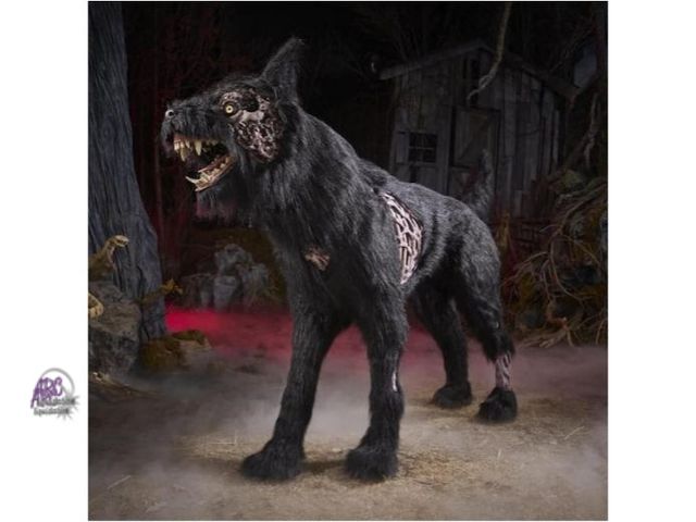 **INDIANA** OCTOBER 7th AUCTION - CLICK HERE TO ENTER- AC 21