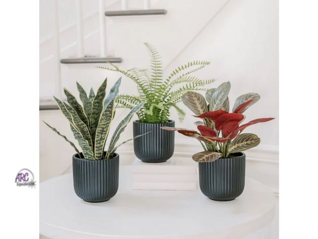 Lot 56-139564 - New cgh Artificial Faux Decorative Plant Trio With Black Vase