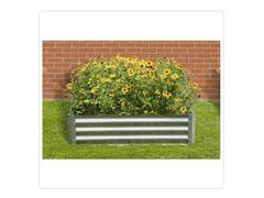 Lot 56-140498 - undefined