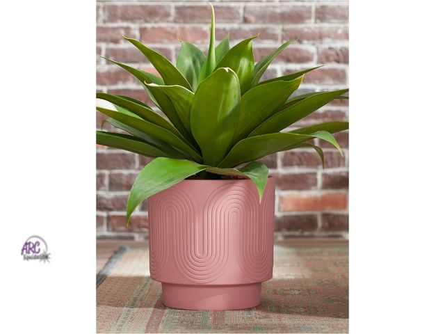 Lot 56-794824 - New Better Homes &amp; Gardens Pottery 10" Amy Wave Ceramic Planter, Pink
