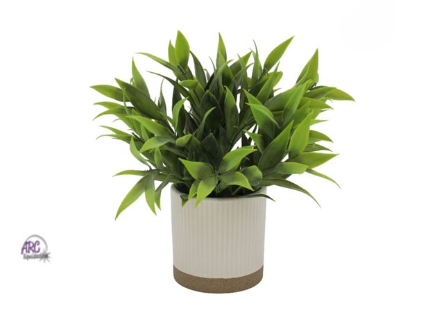 Lot 56-613324 - New, wrapped Mainstays by Becky G. &amp; Alejandra 8" Artificial Tealeaf in White Two-Tone Ribbed Ce...
