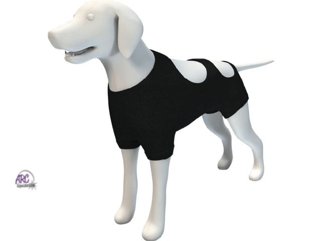 Lot 56-794724 - New Calm Paws Basics Adjustable Recovery Vest for Medium sized Dogs, 1 Vest