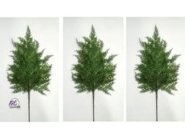 Lot 56-615930 - New - My Texas House 24-Inch Pick set Christmas decoration