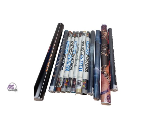 Lot 56-799325 - New lot of 12 assorted posters. Ozzy, cabin fever, how to train a dragon, dc charters, among us, mar...