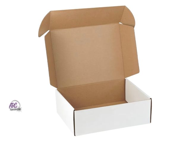 Lot 56-194840 - New in Box 25 Pack 12"x9"x4" inch Shipping Boxes White Corrugated Cardboard Box for Small Business, ...