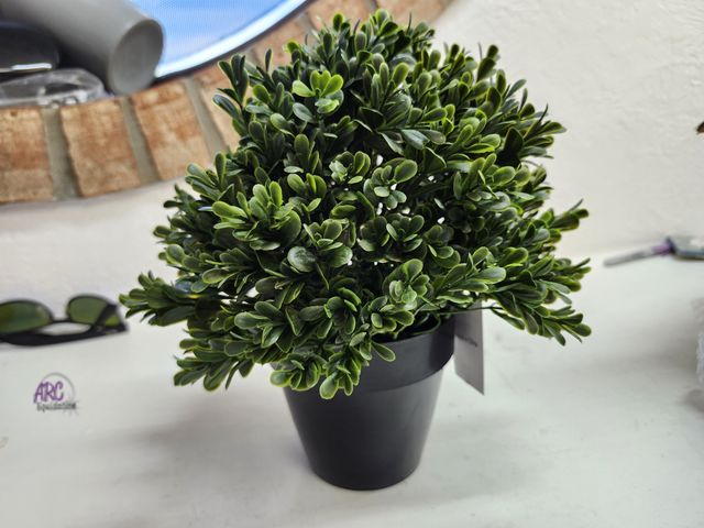 Lot 56-872717 - New - 10" Boxwood Leaf Topiary - UV Resistant Plastic