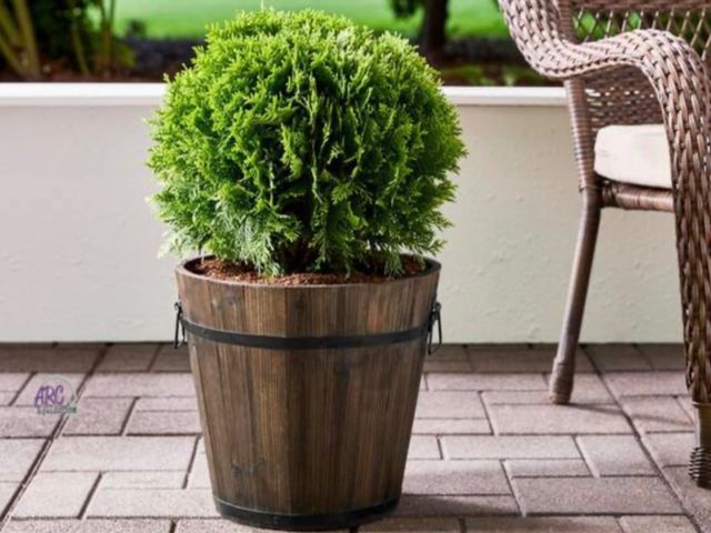 Lot 56-210560 - New - Vigoro 14 in. Jackson Medium Brown Wood Barrel Planter (14 in. D x 12.8 in. H) with Drainage H...