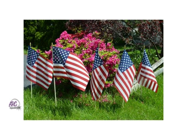 Lot 56-792014 - New (20 flags total) American Printed Polycotton Stick Flag, 12" x 18" by Betsy Flags, 2-Pack