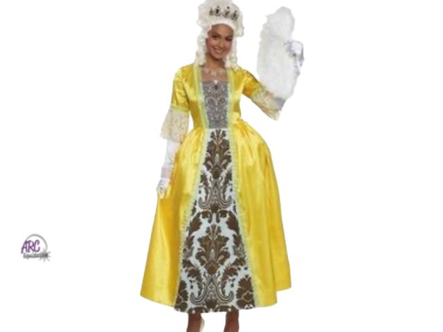 Lot 56-340719 - New size small/medium 4-8 Regency romance queen
