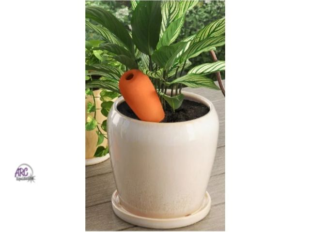 Lot 56-745350 - New Terracotta Plant Watering Spike - Threshold