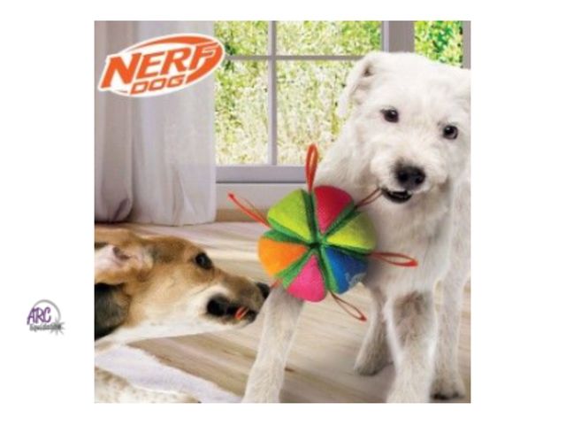 Lot 56-494264 - Out of Package - Has Hole (See Pic) - Nerf Dog - Nerf Dog Squeak &amp; Crunch Wedgeball Fetch Dog To...