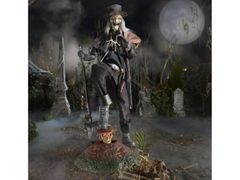 Lot 56-411134 - undefined