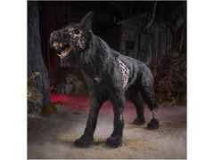 Lot 56-767772 - undefined