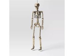 Lot 56-759620 - undefined