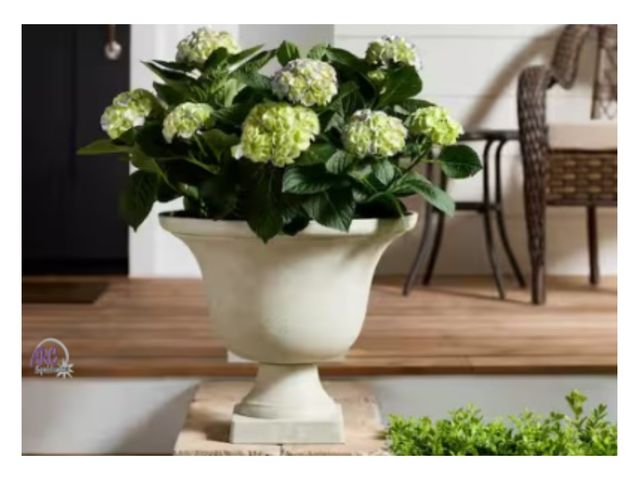 Lot 56-455561 - New - Elise Large (17.75 in. L x 17.75 in. W x 15 in. H) -  White Resin Lightweight Urn Planter with...