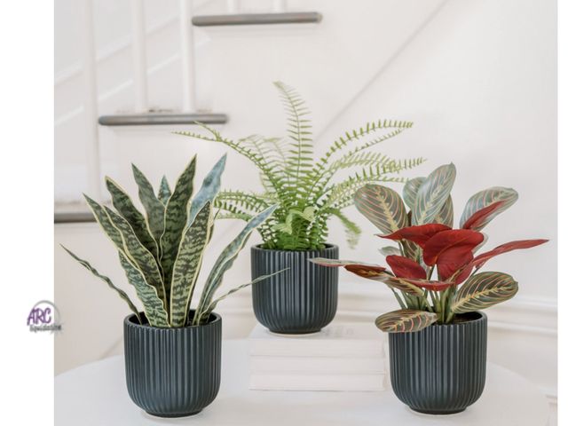 Lot 56-331760 - New in box Faux Decorative Plant Trio