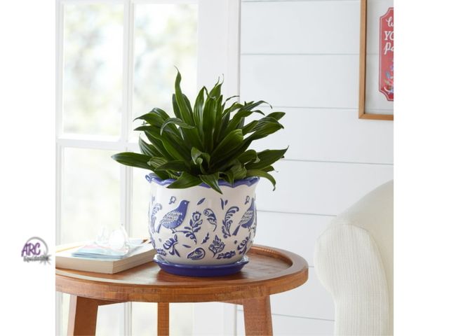 Lot 56-262624 - NEW OPEN BOX The Pioneer Woman Mazie Bird 8" Round Ceramic Planter, Cobalt