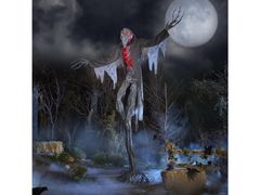 Lot 56-411635 - undefined