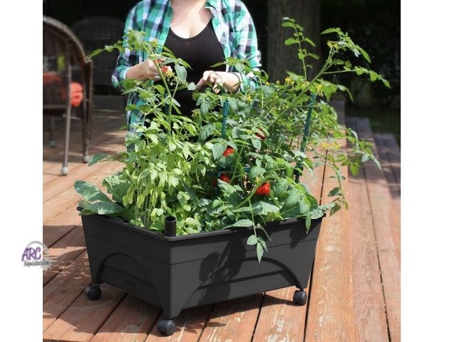 Lot 56-138598 - New City Picker Raised Bed Grow Box – Self Watering and Improved Aeration – Mobile Unit with Casters...