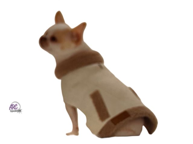 Lot 56-359234 - New, Heart to Tail Sherpa Dog Vest Beige New with Tags Pet Apparel Dog Coat, XSmall