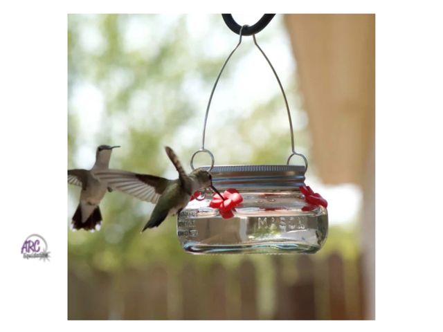 Lot 56-146350 - New Nature's Way Bird Products Mason Jar Hummingbird Dish Feeder, 6 oz.