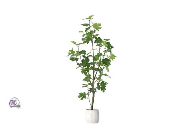 Lot 56-383812 - New,67" Fig Artificial Tree - Threshold™ designed with Studio McGee