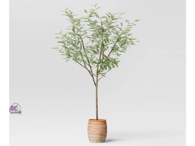 Lot 56-854612 - New - Threshold Olive Artificial Tree with Tarracotta Cement Pot - 5ft