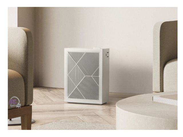 Lot 56-605124 - New, open box Coway Air Purifier Airmega 160 True Hepa Filtration System with 214 sq ft Coverage