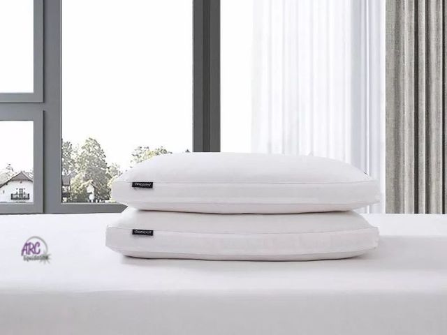Lot 56-364798 - New, Beautyrest 2pk Firm Cotton Blend Feather Down Fiber Bed Pillow