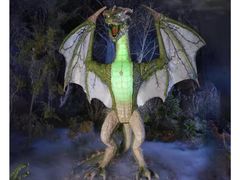 Lot 56-411234 - undefined