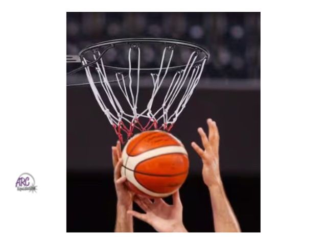 Lot 56-488664 - New in Box - SKYSHALO - Basketball Rim, Heavy Duty Q235 Basketball Flex Rim Goal Replacement with Ne...