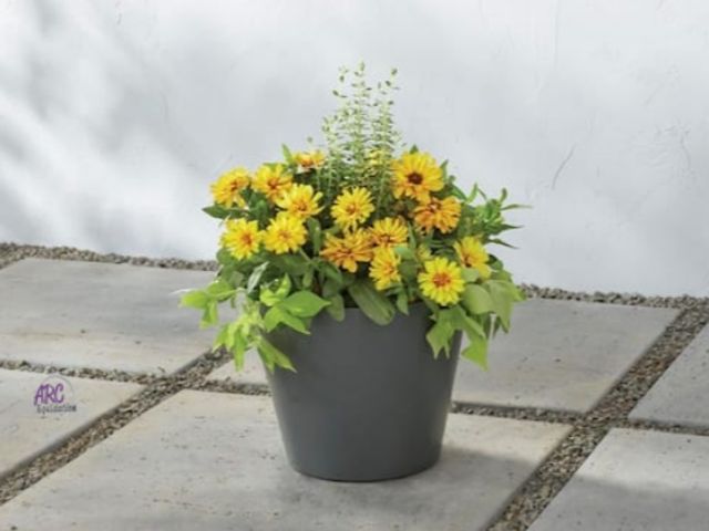 Lot 56-585947 - NEW-Davina Medium Nero Gray Resin Pot-11.8 in. D x 9.4 in. H-fits plants 7-9" diameter-2 quart plant...