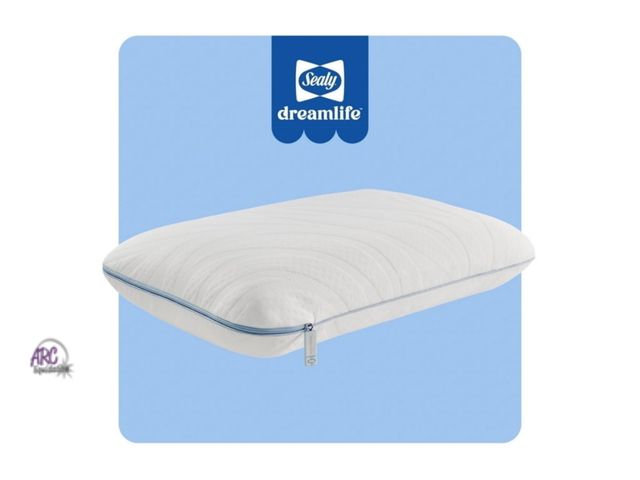 Lot 56-294513 - NEW Sealy Dreamlife Memory Foam Pillow, King