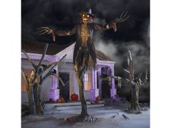 Lot 56-411535 - undefined