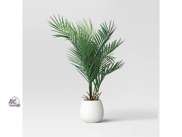 Lot 56-209415 - NEW (crack in pot see photos) 30" Large Phoenix Palm Artificial Plant - Threshold Faux Foliage, Indo...