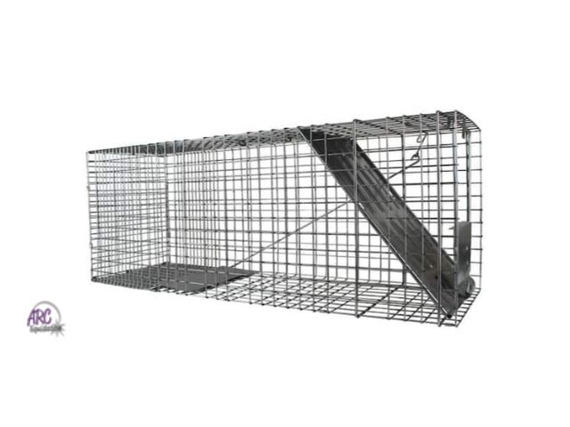 Lot 56-262450 - New havahart Large 1-Door Professional Live Animal Cage Trap for Raccoon, Opossum, Groundhog, and Fe...