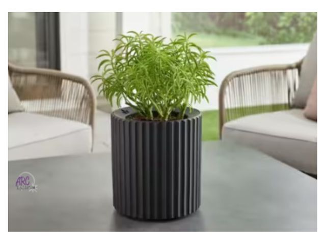 Lot 56-435159 - Open Box - Missing Top Rings - (9 in. L x 6 in. W x 9 in. H) - Connie Small Black Plastic Round Plan...