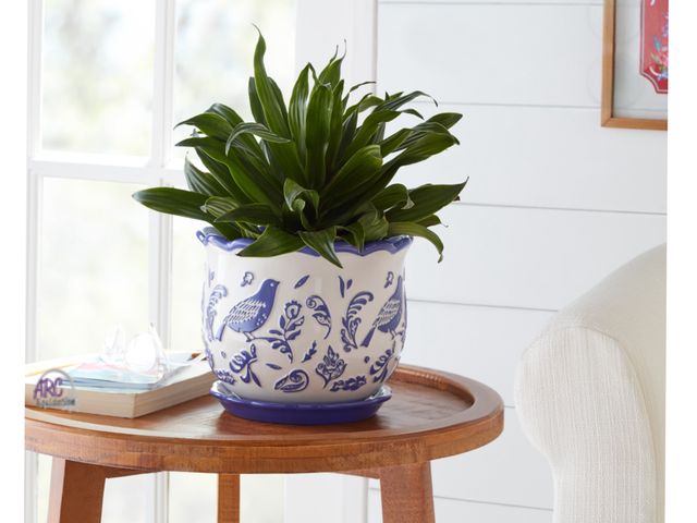 Lot 56-355324 - New, Pioneer woman bird of ogee/ embossed planter
