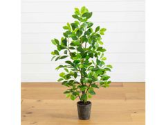 Lot 56-592322 - undefined